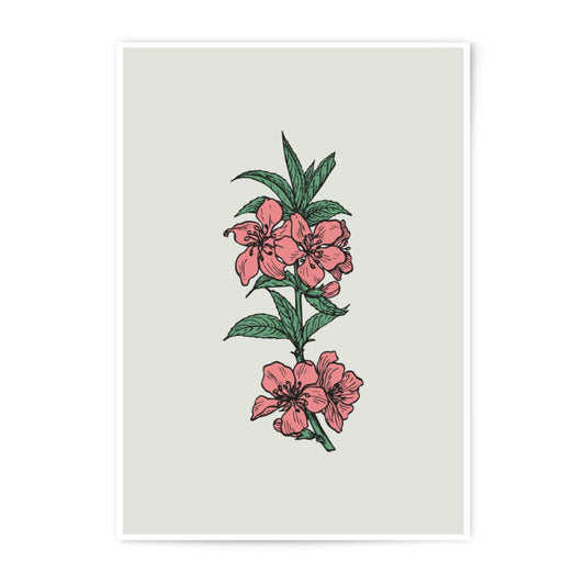 Floral Photographic Prints, Peach Blossom, Botanical Art Print, Flower Wall Art, Modern Home Decor, Nature Photography - Tawshia