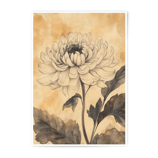 Chrysanthemum Photographic Print, Floral Wall Art, Botanical Print, Vintage Style Flower, Antique Illustration, Home Decor - Tawshia