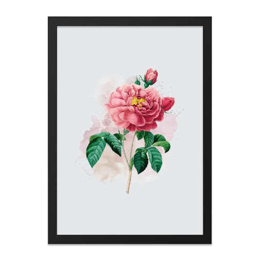 Pink Rose Wall Art, Floral Wall Decor, Botanical Print, Vintage Flower Art, Trendy Home Decor, Floral Illustration, Rose Illustration - Tawshia