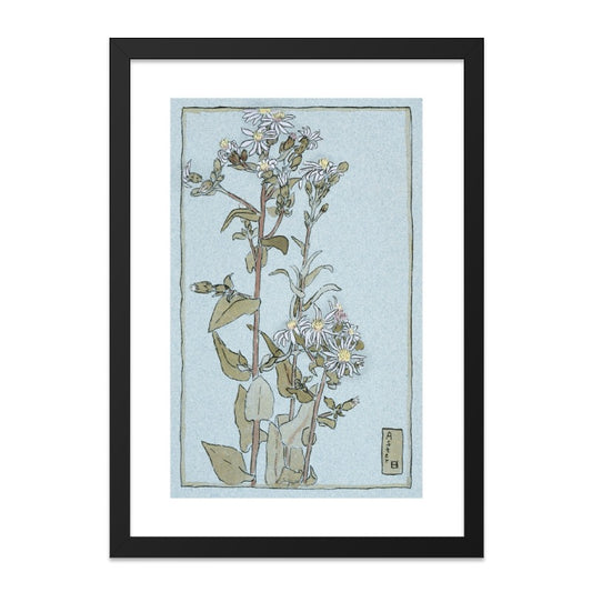 Aster Flower Wall Art, Botanical Print, Floral Home Decor, Vintage Style Artwork, Unique Gift Idea, Delicate Flower Illustration - Tawshia
