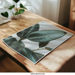 Rubber Plant Photographic Print, Leaf Close Up, Botanical Art, Minimalist Decor, Modern Photography Print - Tawshia