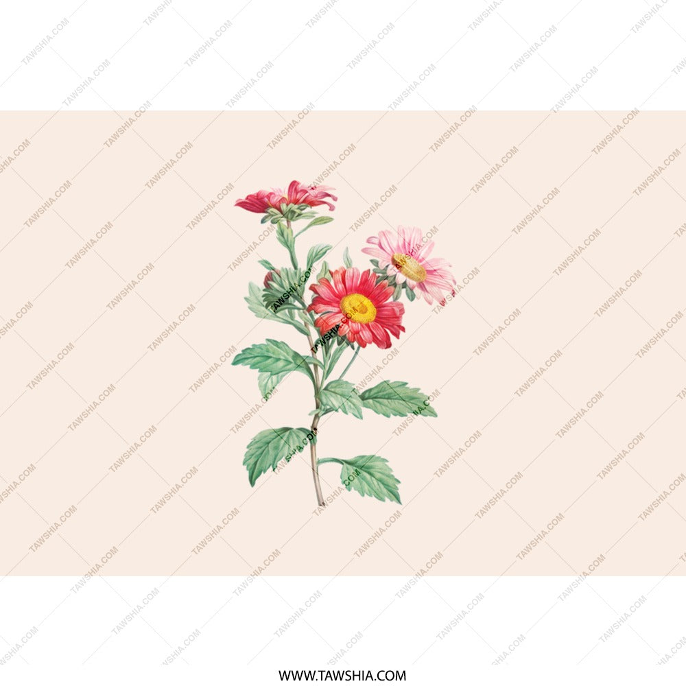 Floral Tumbler, Red Daisy Tumbler, Flower Tumbler, Botanical Tumbler, Gift for Her, Aesthetic Tumbler, Summer Tumbler, Cute Tumbler, Trendy - Tawshia