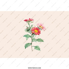 Floral Tumbler, Red Daisy Tumbler, Flower Tumbler, Botanical Tumbler, Gift for Her, Aesthetic Tumbler, Summer Tumbler, Cute Tumbler, Trendy - Tawshia
