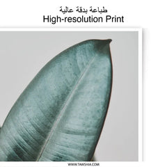 Rubber Plant Photographic Print, Leaf Close Up, Botanical Art, Minimalist Decor, Modern Photography Print - Tawshia