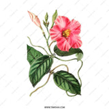 Pink Allamanda Flower Mug, Floral Botanical Coffee Mug, Vintage Flower Mug, Nature Lover Mug, Gift Mug - Tawshia