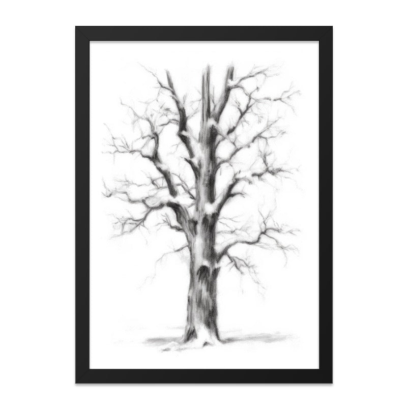 Winter Tree Wall Art, Charcoal Drawing Print, Nature Home Decor, Minimalist Art, Black and White Landscape, Framed Wall Art - Tawshia