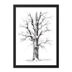 Winter Tree Wall Art, Charcoal Drawing Print, Nature Home Decor, Minimalist Art, Black and White Landscape, Framed Wall Art - Tawshia