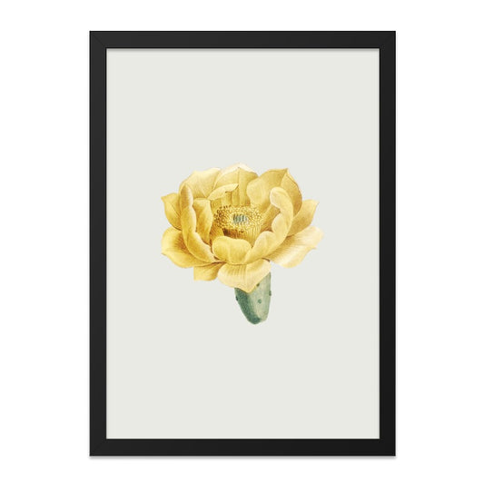 Yellow Cactus Flower Wall Art, Botanical Print, Desert Bloom, Floral Home Decor, Vintage Illustration, Desert Plant Art - Tawshia