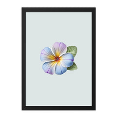 Floral Wall Art, Plumeria Print, Tropical Decor, Flower Art Print, Botanical Wall Decor, Elegant Flower, Fine Art Prints - Tawshia