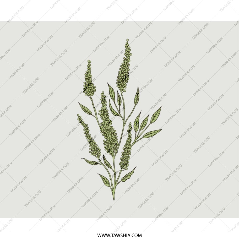 Green Seeded Plant Mouse Pad, Botanical Mousepad, Aesthetic Desk Decor, Nature Inspired Mousemat, Cute Office Gift, Home Office, Desk - Tawshia