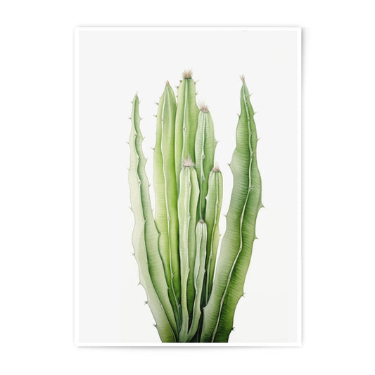 Cactus Photographic Print, Minimalist Wall Art, Botanical Print, Modern Home Decor, Green Cactus Art, Desert Plant Photo, Nature Photography - Tawshia