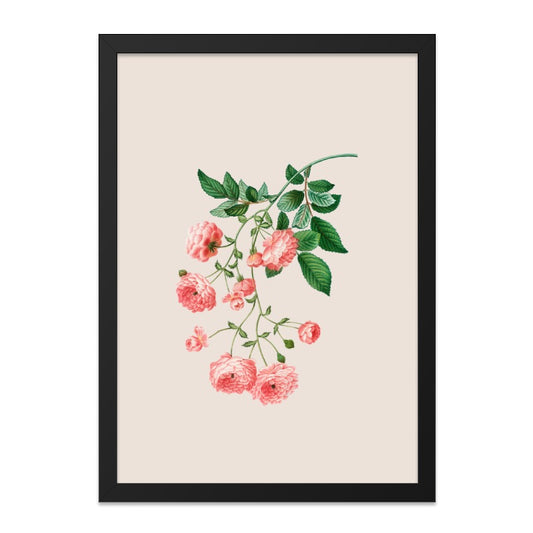 Pink Rose Wall Art, Botanical Print, Vintage Flower Art, Floral Wall Decor, Elegant Home Decor, Nature Inspired Artwork - Tawshia