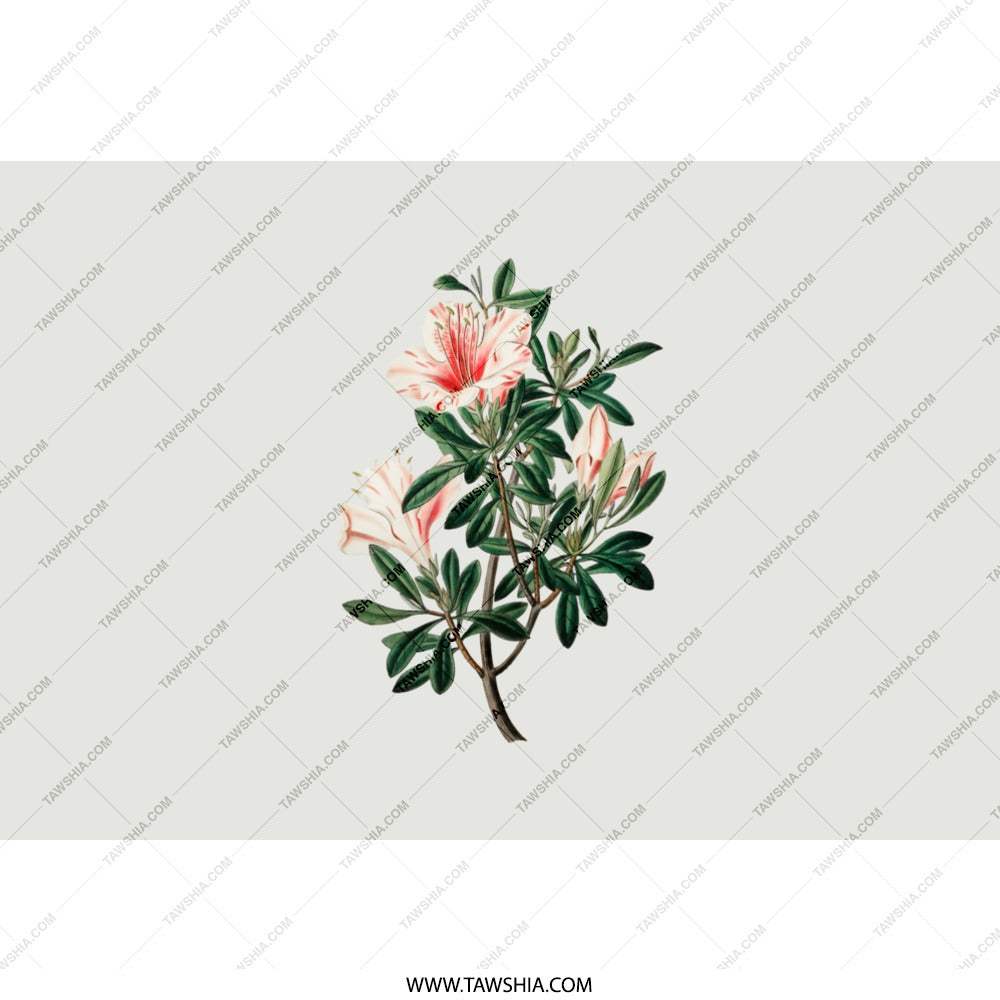 Azalea Tumbler, Floral Tumbler, Botanical Tumbler, Flower Design Tumbler, Stylish Tumbler, Garden Flower Tumbler, Aesthetic Tumbler - Tawshia