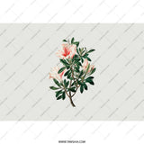 Azalea Tumbler, Floral Tumbler, Botanical Tumbler, Flower Design Tumbler, Stylish Tumbler, Garden Flower Tumbler, Aesthetic Tumbler - Tawshia