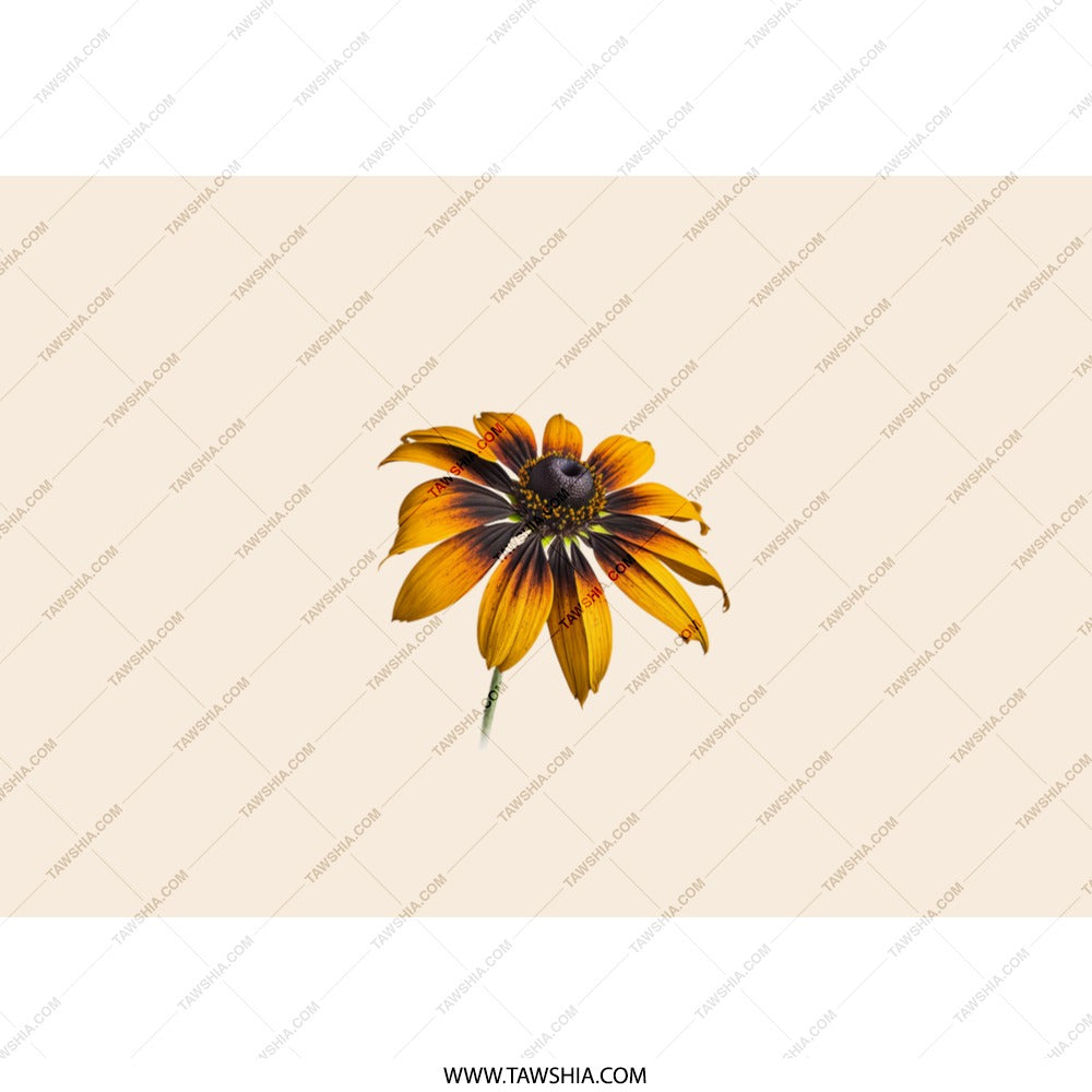 Black Eyed Susan Tumbler, Floral Tumbler, Flower Tumbler, Nature Inspired Tumbler, Garden Flower Tumbler, Yellow Brown Flower, Gift - Tawshia