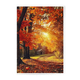 Autumn Cabin Photographic Print, Fall Foliage Art, Cozy Cabin Scene, Sunlit Forest, Seasonal Wall Decor - Tawshia