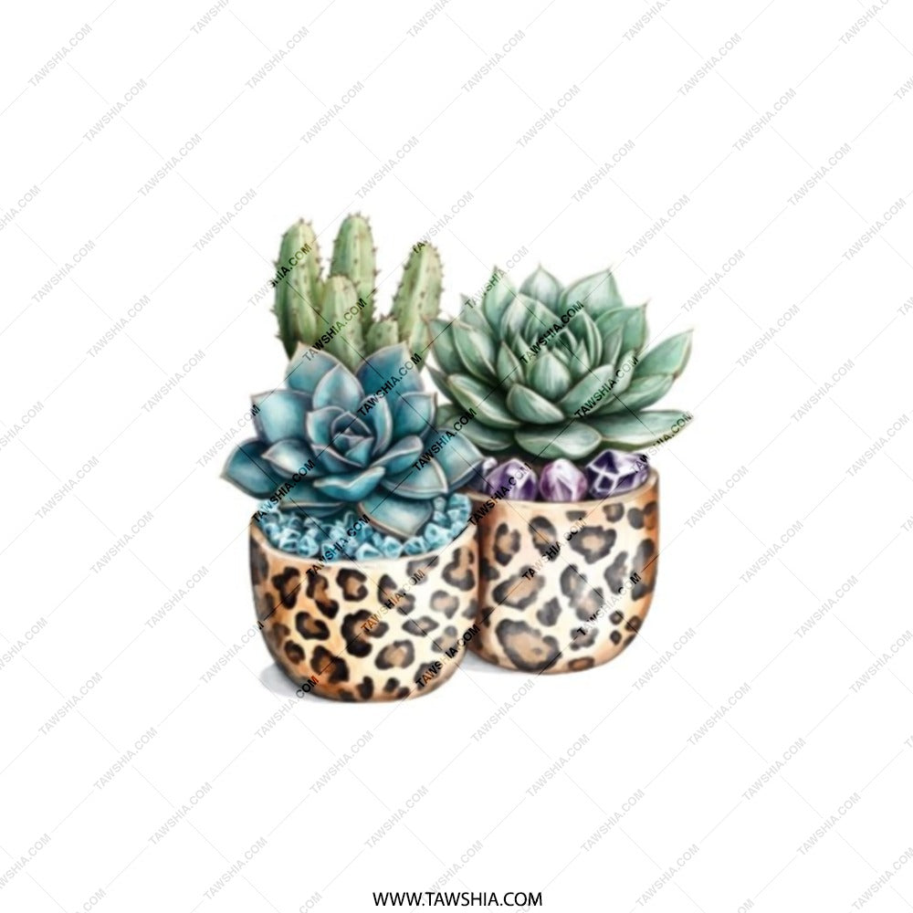 Succulent Cactus Pocket Mirror, Leopard Print Pot, Cute Compact Mirror, Travel Mirror, Makeup Mirror, Gift for Her, Boho Pocket Mirror - Tawshia