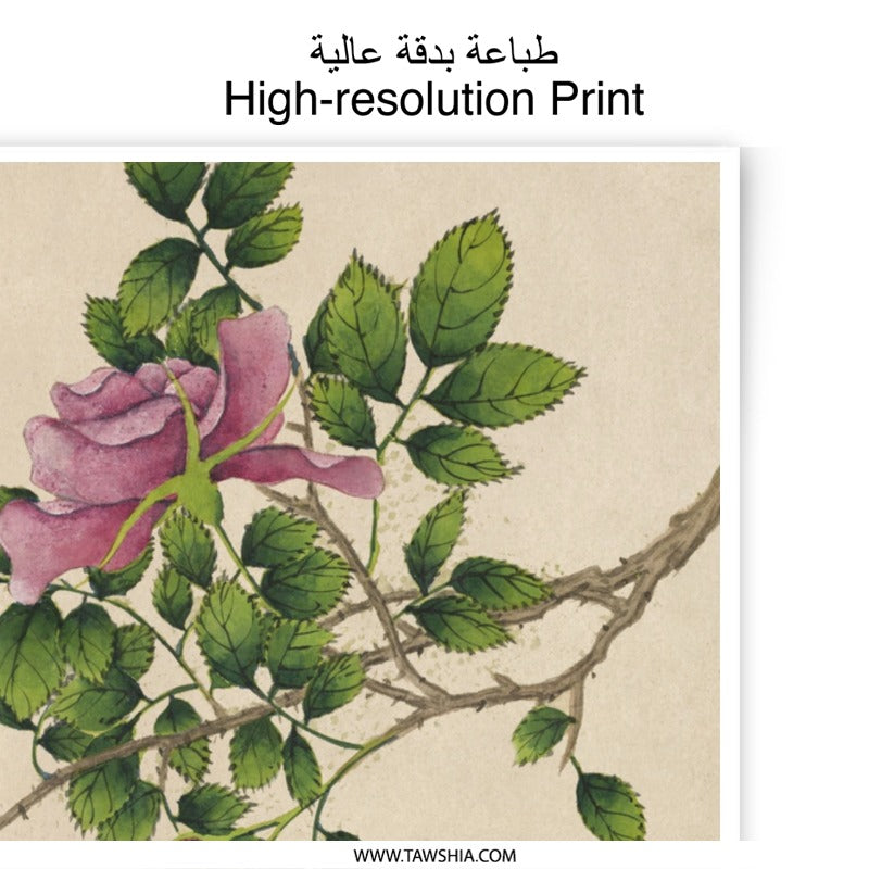 Pink Rose Photographic Print, Floral Wall Art, Botanical Decor, Antique Rose Art Print, Flower Photography, Nature Print, Home Decor - Tawshia