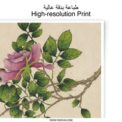 Pink Rose Photographic Print, Floral Wall Art, Botanical Decor, Antique Rose Art Print, Flower Photography, Nature Print, Home Decor - Tawshia
