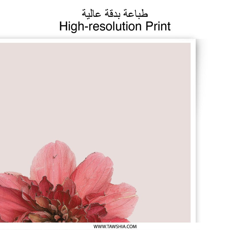 Dahlia Photographic Prints, Floral Art Prints, Botanical Wall Art, Delicate Flower Photography, Home Decor, Pink Flower Print - Tawshia