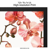 Orchid Wall Art, Floral Print, Botanical Art, Flower Wall Decor, Pink Orchid Painting, Modern Wall Art, Home Decor, Framed Wall Art - Tawshia