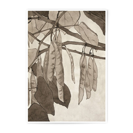 Catalpa Bean Photographic Print, Botanical Wall Art, Sepia Tone Decor, Elegant Nature Print, Home Decor, Wall Decor, Catalpa Tree Art - Tawshia