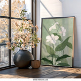 White Jasmine Flower Art, Floral Print, Botanical Wall Art, Greenery Decor, Minimalist Art, Flower Illustration Print, Wall Decor - Tawshia