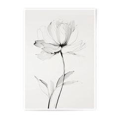 Minimalist Flower Photographic Print, Botanical Art, Floral Wall Decor, Neutral Home Decor, Modern Art Print, Flower Print - Tawshia