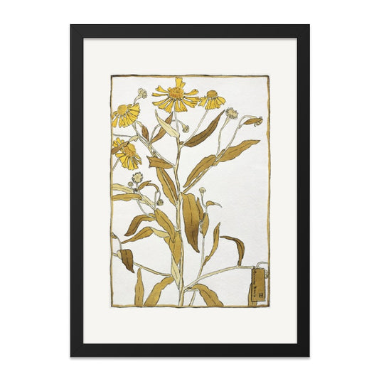 Golden Marguerite Wall Art, Vintage Floral Print, Botanical Home Decor, Elegant Flower Artwork, Stylish Wall Decor - Tawshia