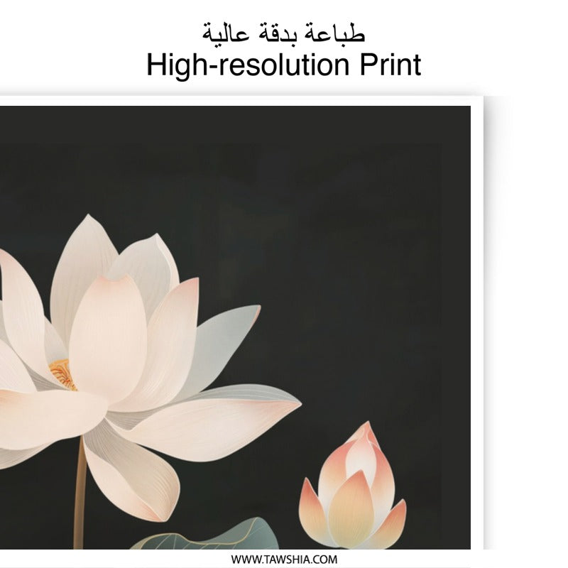 Lotus Flower Photographic Print, Floral Wall Art, Botanical Print, Elegant Home Decor, Calm Serene Art, Fine Art Print - Tawshia