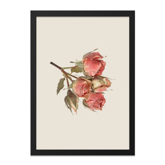 Rose Wall Art, Floral Print, Botanical Art, Flower Wall Decor, Cottagecore Decor, Vintage Art Print, Pink Rose Art, Framed Wall Art - Tawshia