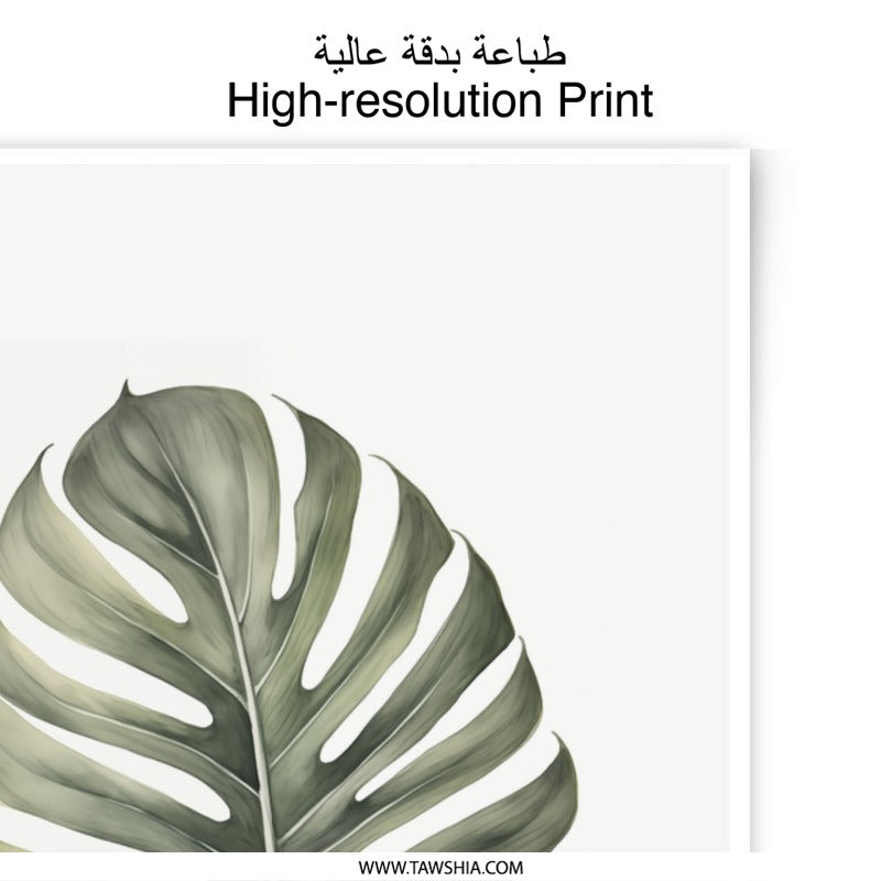 Monstera Leaf Photographic Print, Tropical Wall Art, Botanical Home Decor, Minimalist Plant Art, Nature Photography - Tawshia