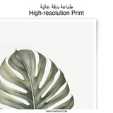 Monstera Leaf Photographic Print, Tropical Wall Art, Botanical Home Decor, Minimalist Plant Art, Nature Photography - Tawshia